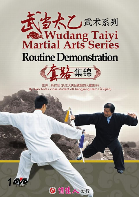Wudang Taiyi Martial Arts Series - Routine Demonstration
