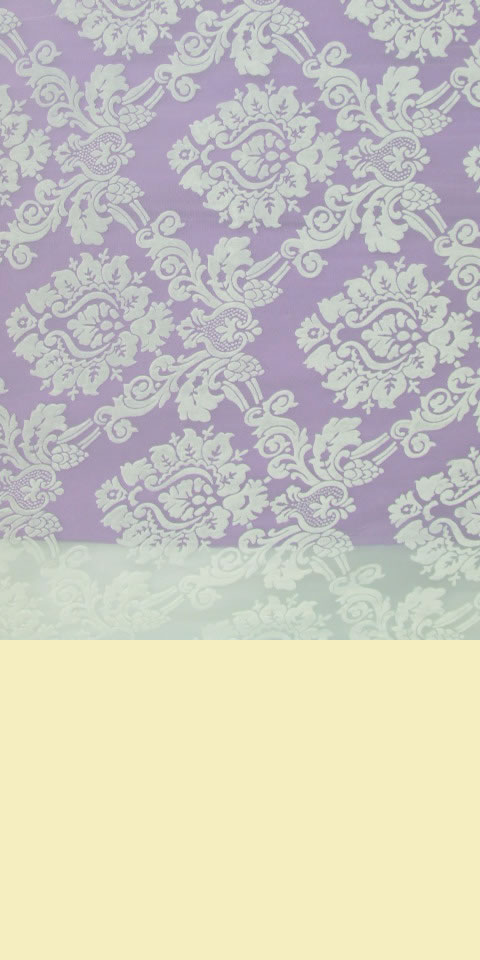 Fabric - See-through Embroidery Velvet Gauze (White)