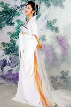 Tang Style Hanfu (CM)