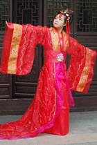 Tang Style Hanfu