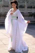 Tang Style Hanfu