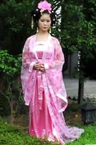 Tang Style Hanfu