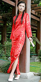 Long-sleeve Long-length Cheongsam (CM)