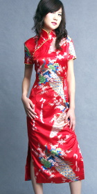 Short-sleeve Long-length Cheongsam (CM)