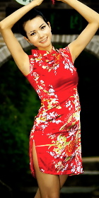 Cup-sleeve Short-length Cheongsam (CM)