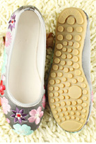 Delicate Floral Embroidery Shoes (RM)