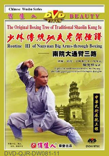 Shaolin South House Big Arm-through Fist III