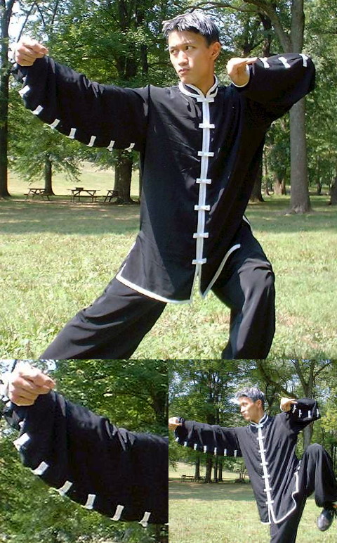 Pray Mantis Fist Kung Fu Suit (CM)