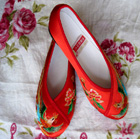 Phoenix Embroidery Shoes (Multicolor)