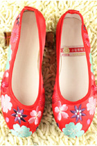 Delicate Floral Embroidery Shoes (RM)