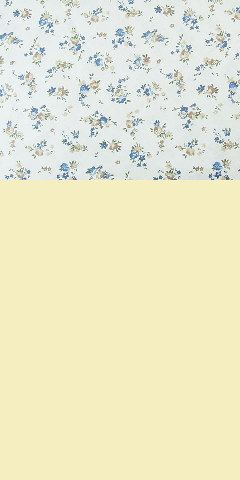 Fabric - Printed Cotton