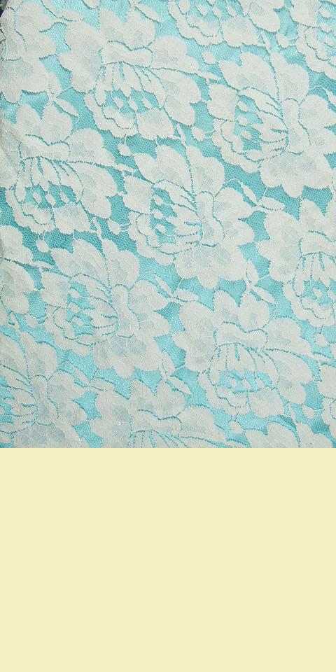 Fabric - See-through Embroidery Velvet Gauze (White)