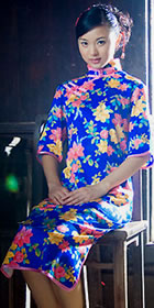 Long-sleeve Long-length Cheongsam (CM)